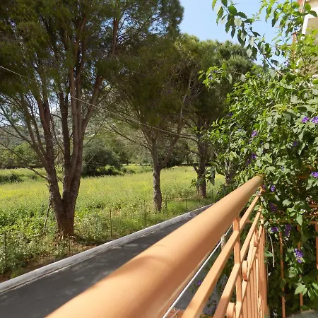 Afrodite Spacious Apartments! 2* Agia Efimia