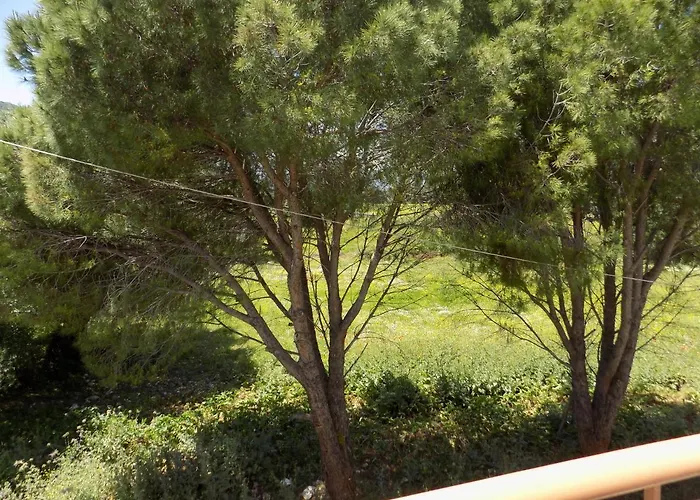 Aparthotel Afrodite Spacious Apartments!